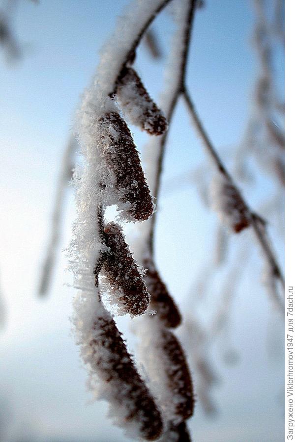 Хорошо, что хоть обычного ветра нет...