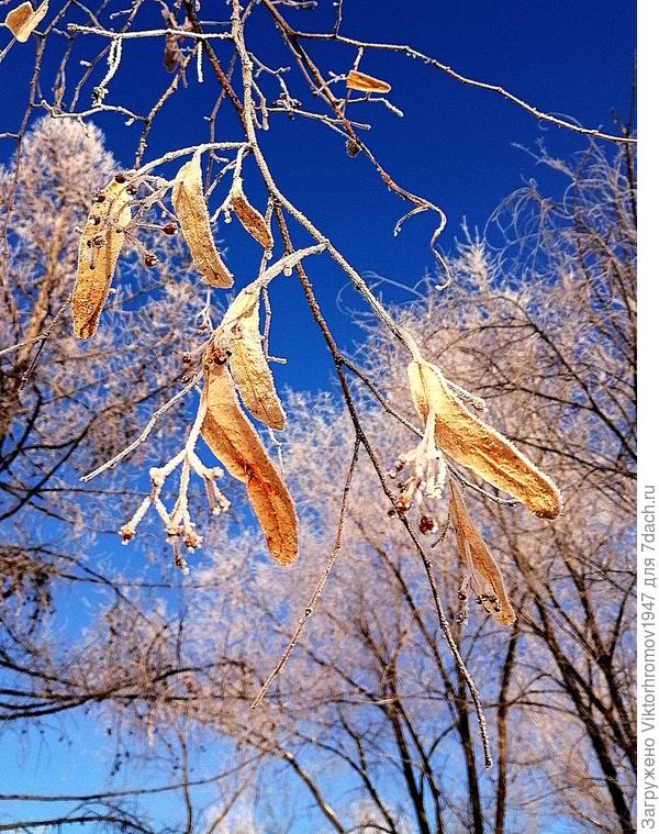 Счастья! Радости! Улыбок!