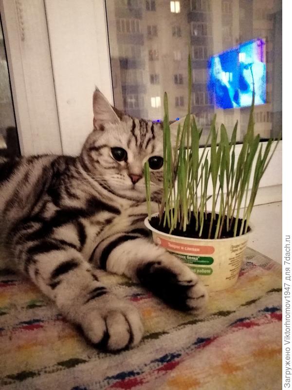 и такому Урожаю рада!...