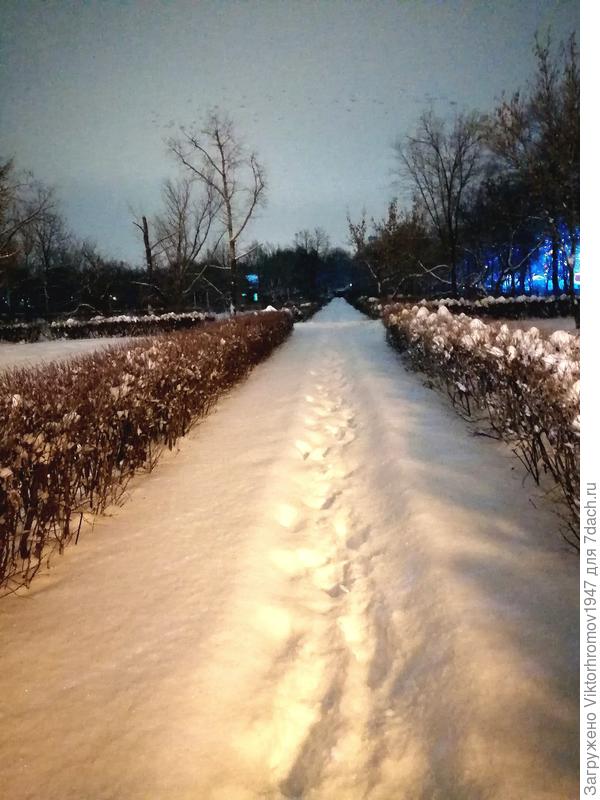 Занесённые снегом тропинки