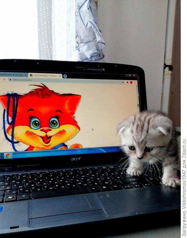 Жалко... Не все буквы ещё знаю.