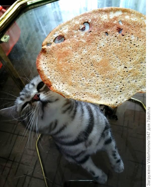 И конечно с помощницей Масяней...