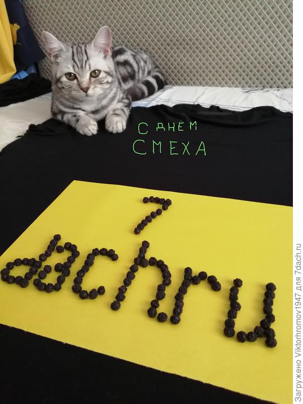 До Новых встреч!