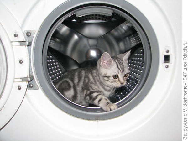 никому не верю!...