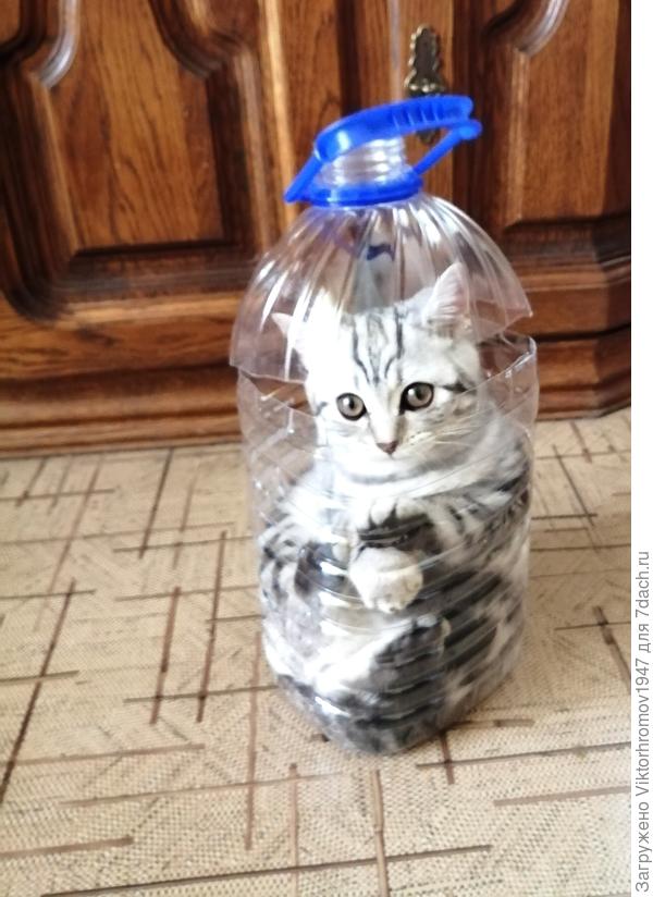 теперь, точно на дачу возьмут!...