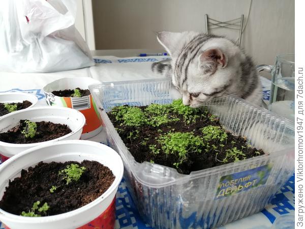 Молодцы! Всё полито!...