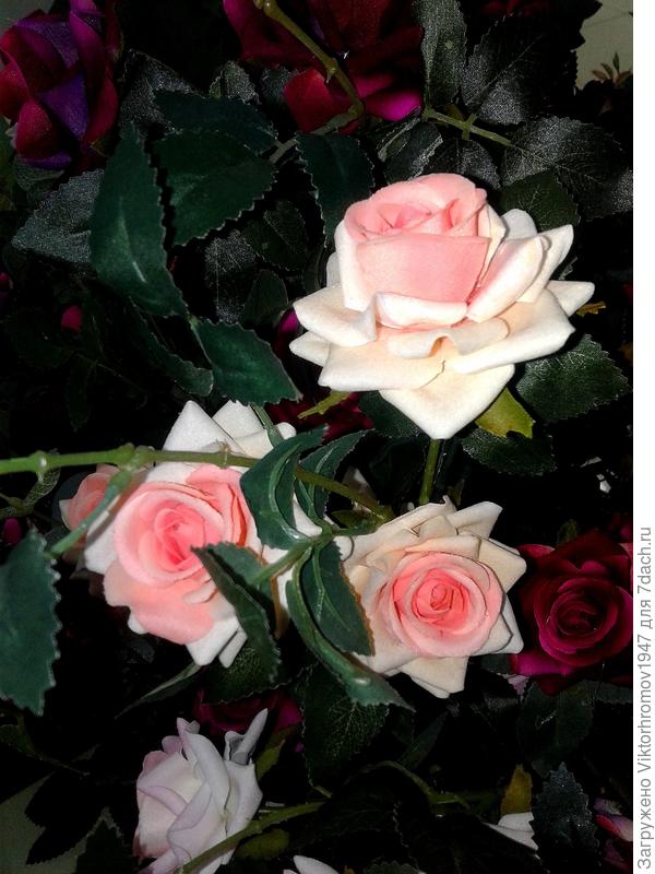 Всех Благ и великолепного здоровья и настроения!!!