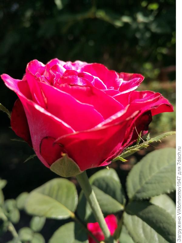 Татьяна БЛАГОДАРИМ!!!  Процветания Всем!!!