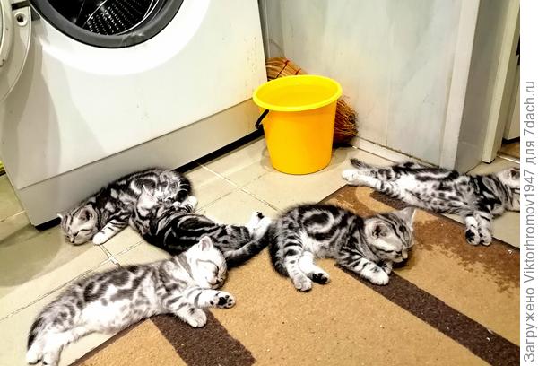 Теперь, нужно искупаться...