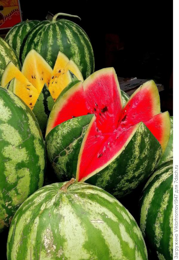 Но зато зреют знаменитые Соль Илецкие арбузы!