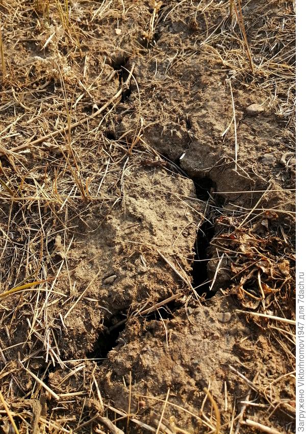 Можно ладонь вставить...