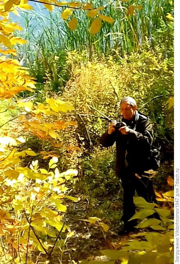 Сердце Осени!...