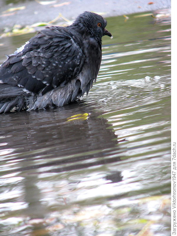 "прохладно"