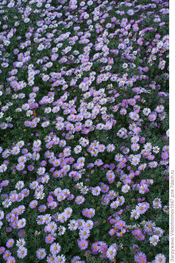 Октябринки!...