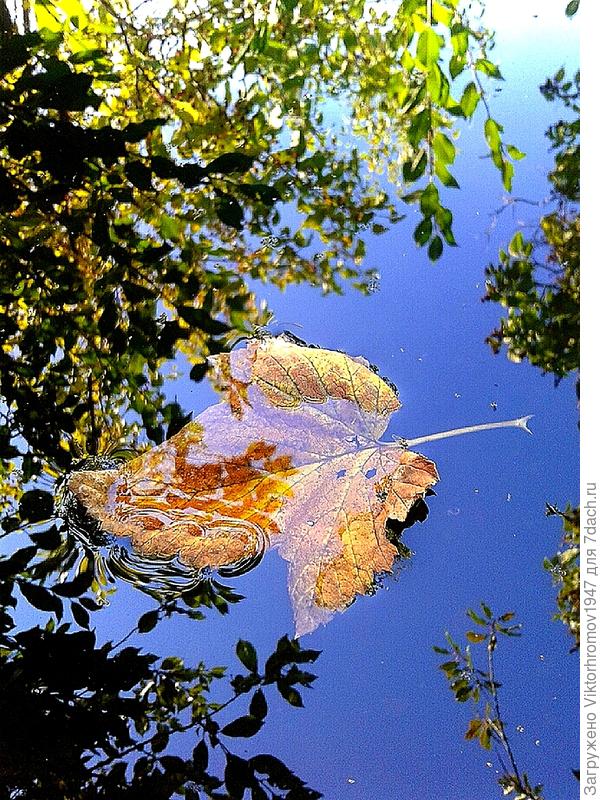 Куда несёт меня...Судьба?...