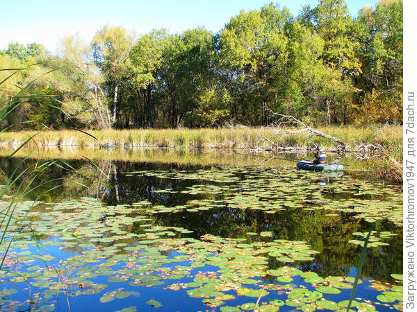 Осень на воде