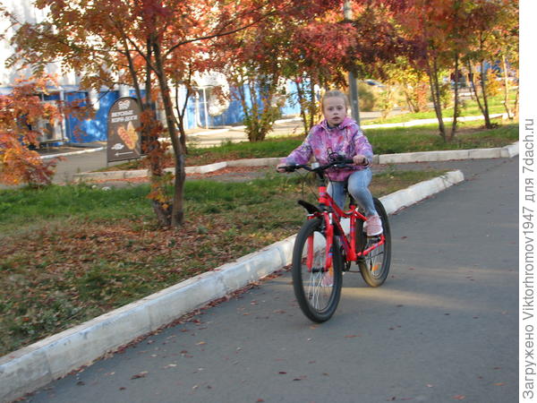 Пока нет снега...