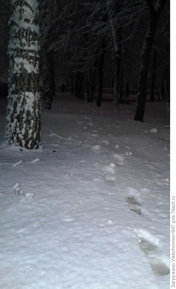 Это влажный первый снежок!