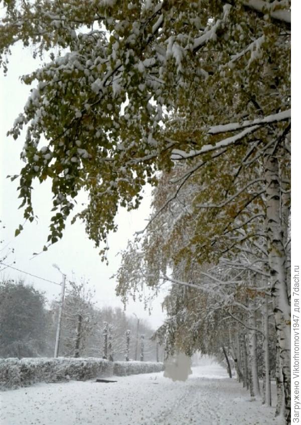 Тишина стоит диковенная...