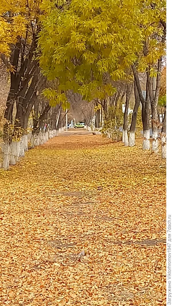 золотом Осени