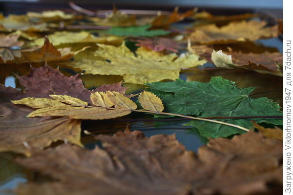 Осенний натюрморт...