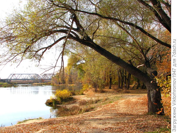 берег Урала...