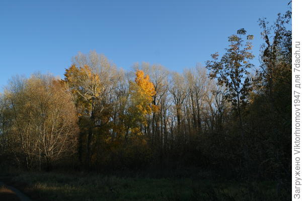 Прекрасный осенний денёк...