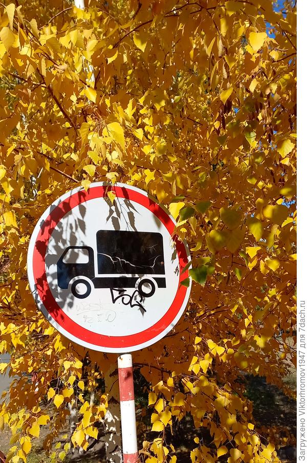 "Не тревожте Осень"