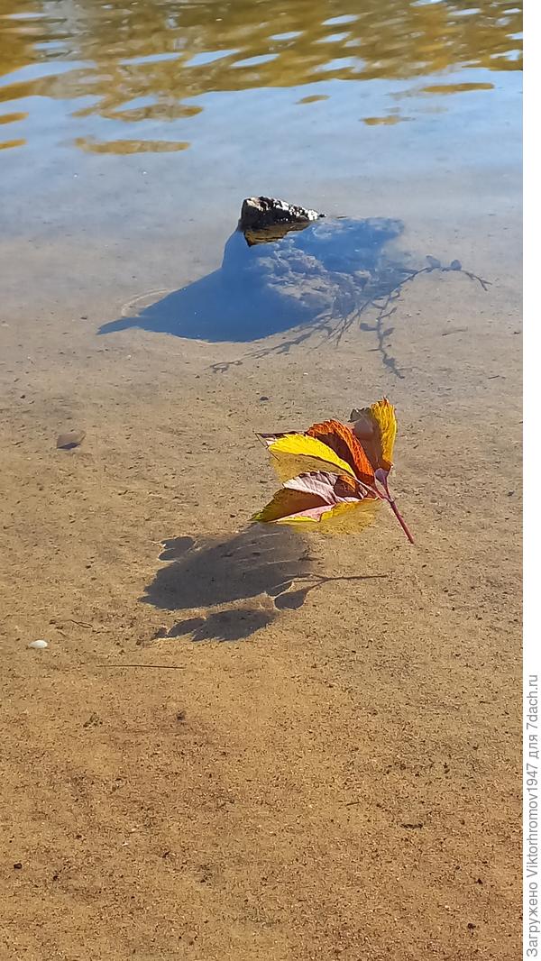 Но вода чистая прозрачная