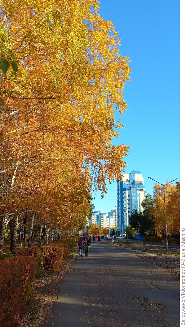 к дому моему.