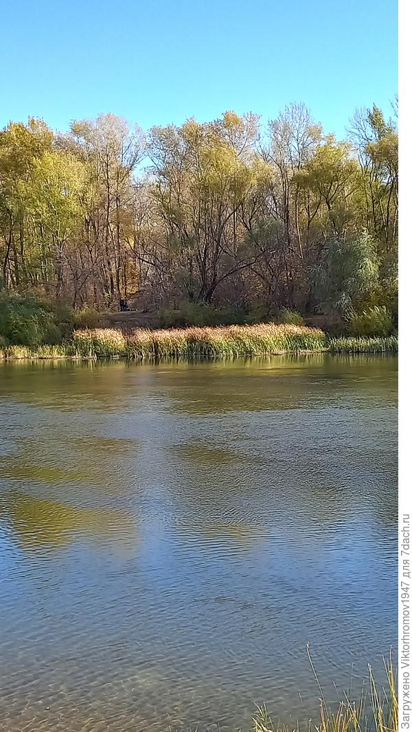 Всё лето жара стояла