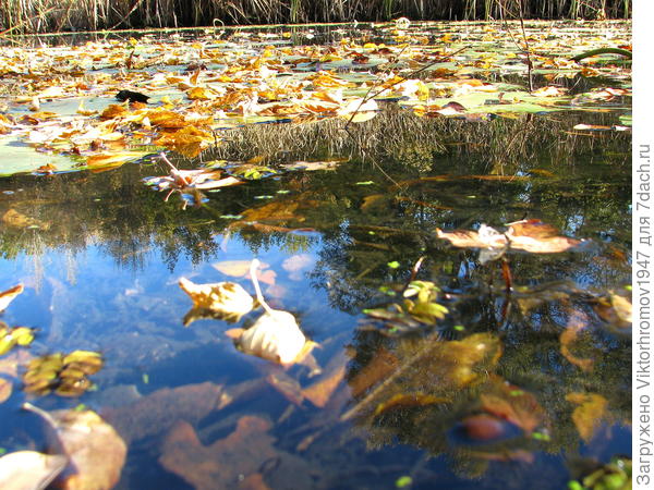 Прекрасный осенний день на озере...