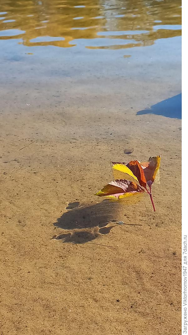 Вода чистейшая приглядется видно рыбок и хорошо дно просматривается