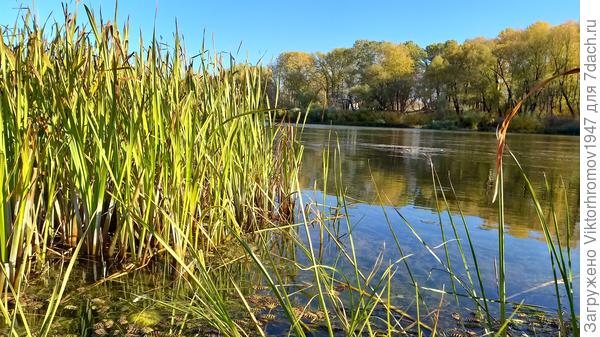 Очень сильно обмелел в этом Урал