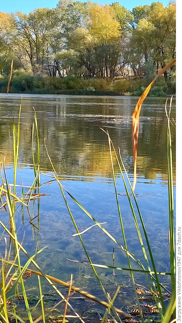 Жара достигала 45 градусов