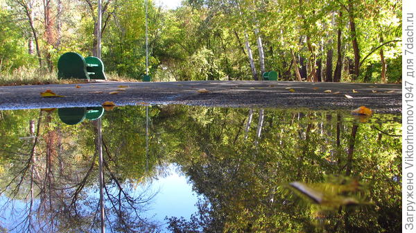 выглянуло солнышко