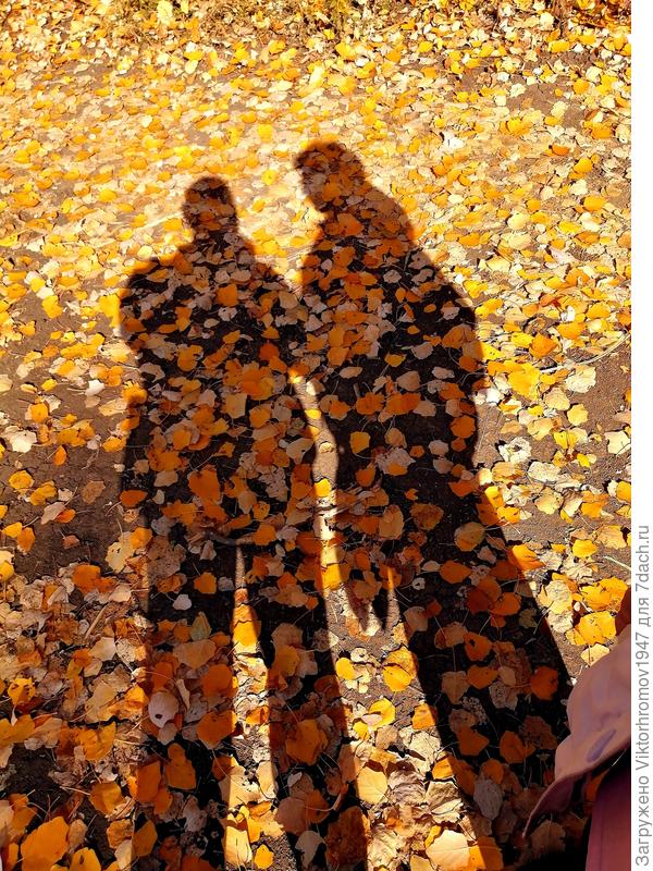 Счастливый день