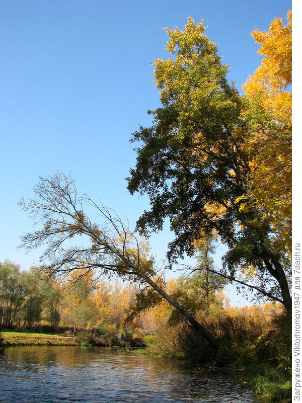 На острие...