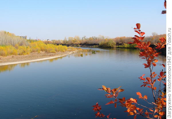 Лещиный яр.