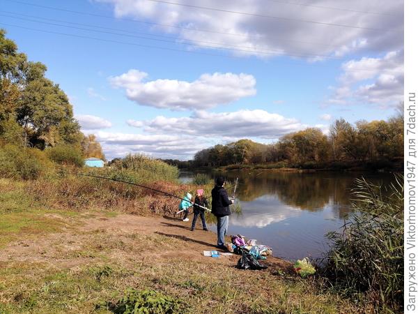 А мама рядом. Наблюдает и грибы собирает...