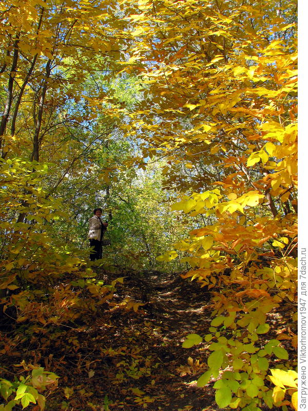 Сказочный день...