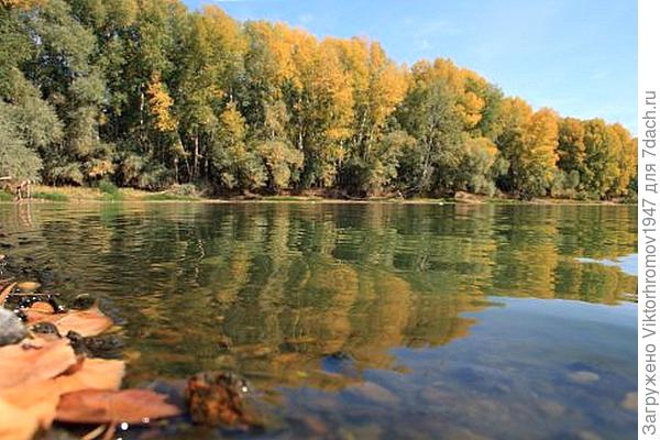 ОСЕННИЙ МОТИВ