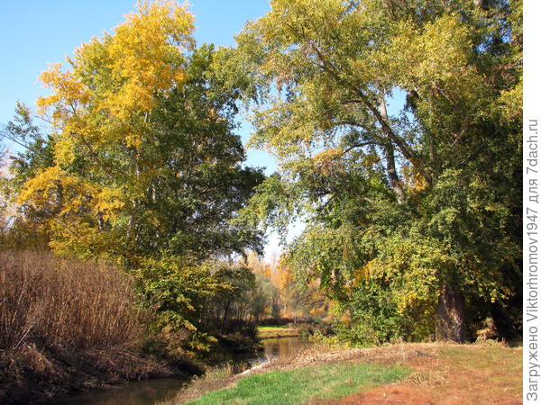 Вот как вымахали...