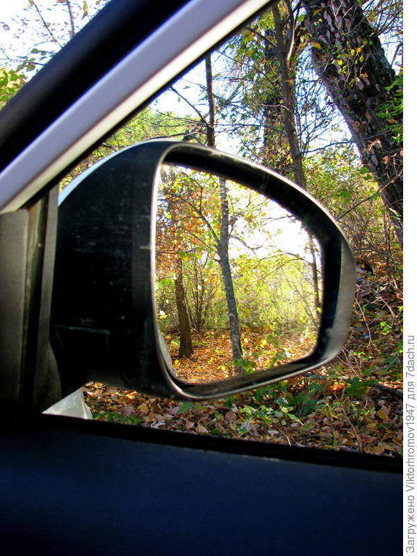 Зеркало заднего вида...