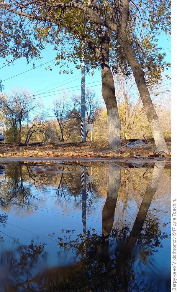 Утром был дождик...