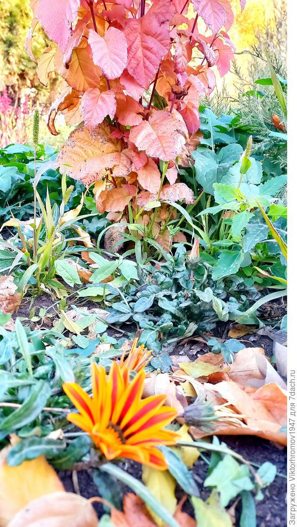 Цветное рядом...