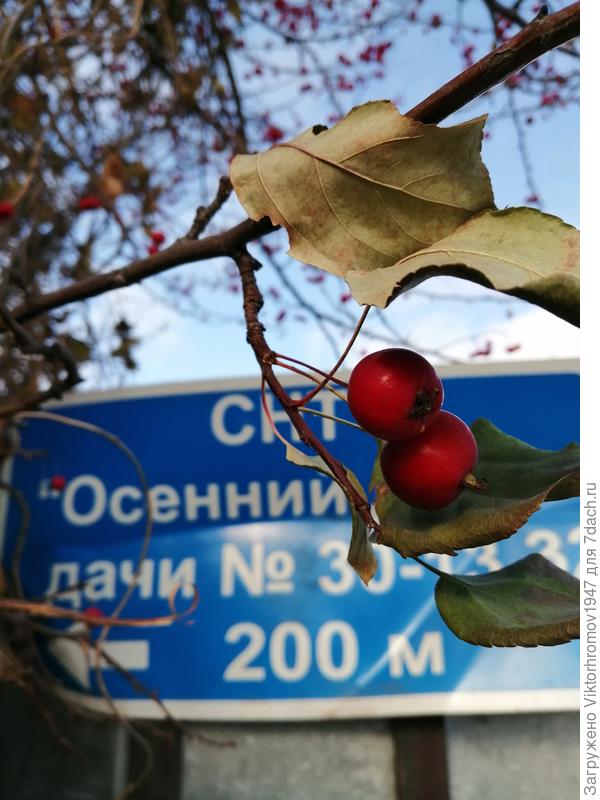 Перекрёсток...