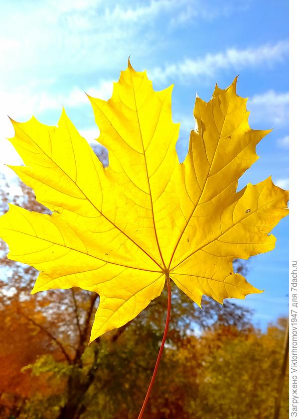 Природный рентген