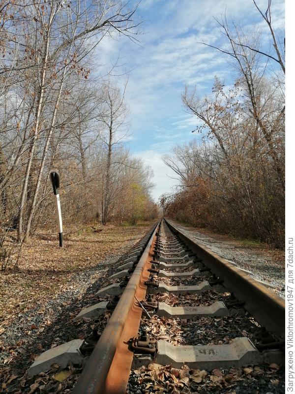 ...Там тоже настоящая Осень...