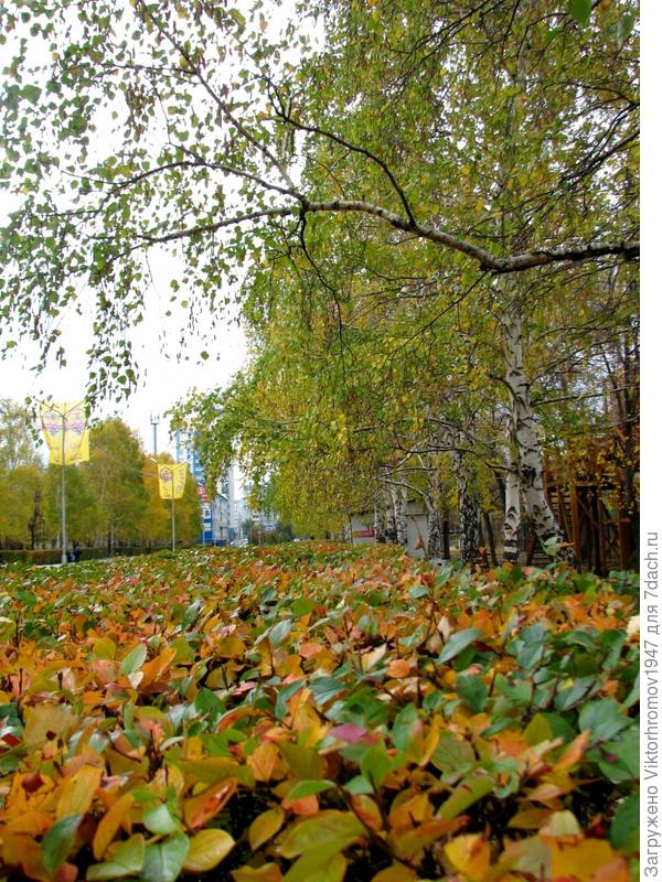 Октябрь разукрасил центральную аллею в парке